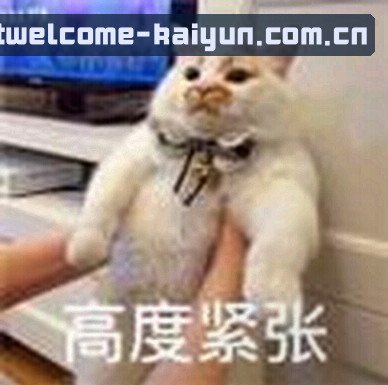 张伟
